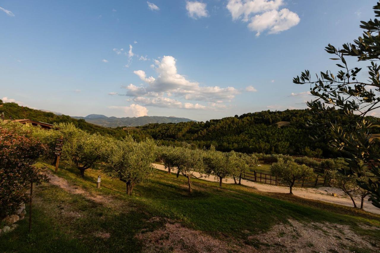 Agriturismo Agrileisuretime 斯波莱托 外观 照片