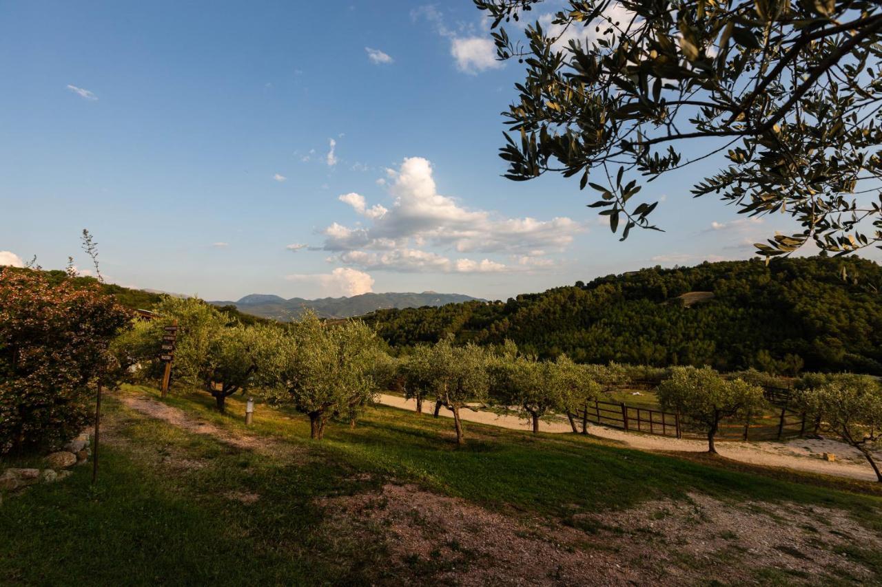 Agriturismo Agrileisuretime 斯波莱托 外观 照片