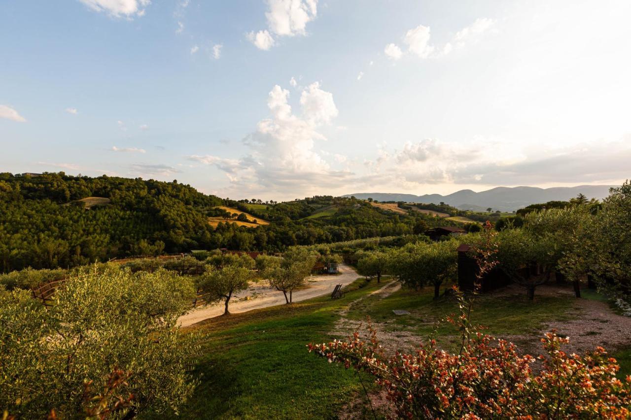 Agriturismo Agrileisuretime 斯波莱托 外观 照片