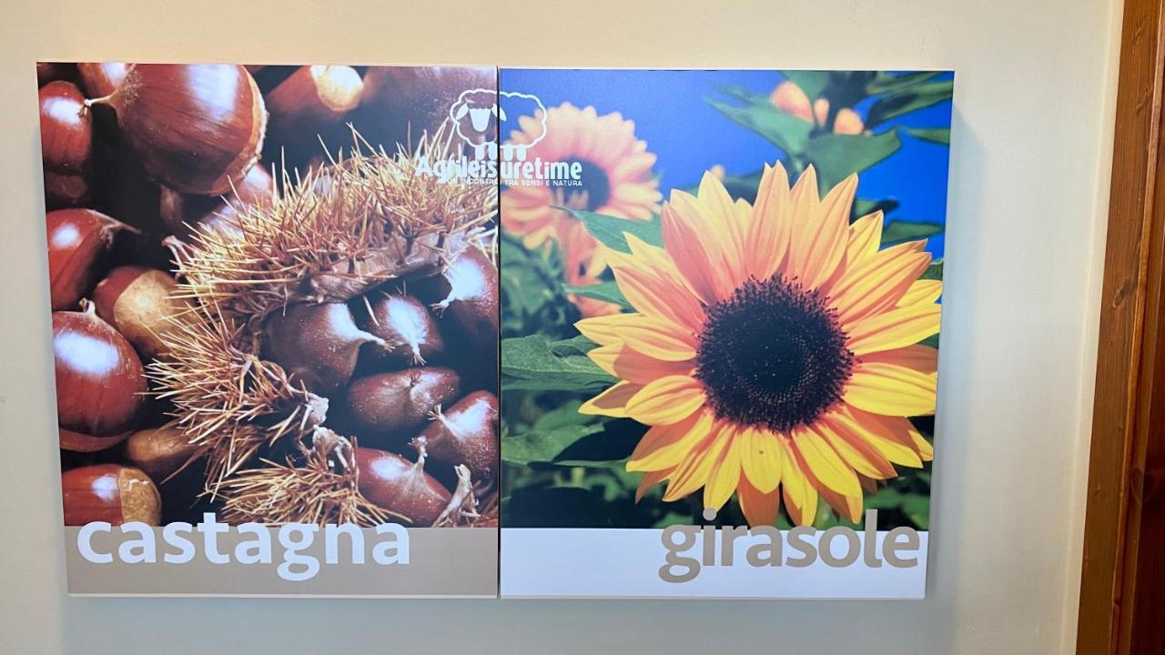 Agriturismo Agrileisuretime 斯波莱托 外观 照片