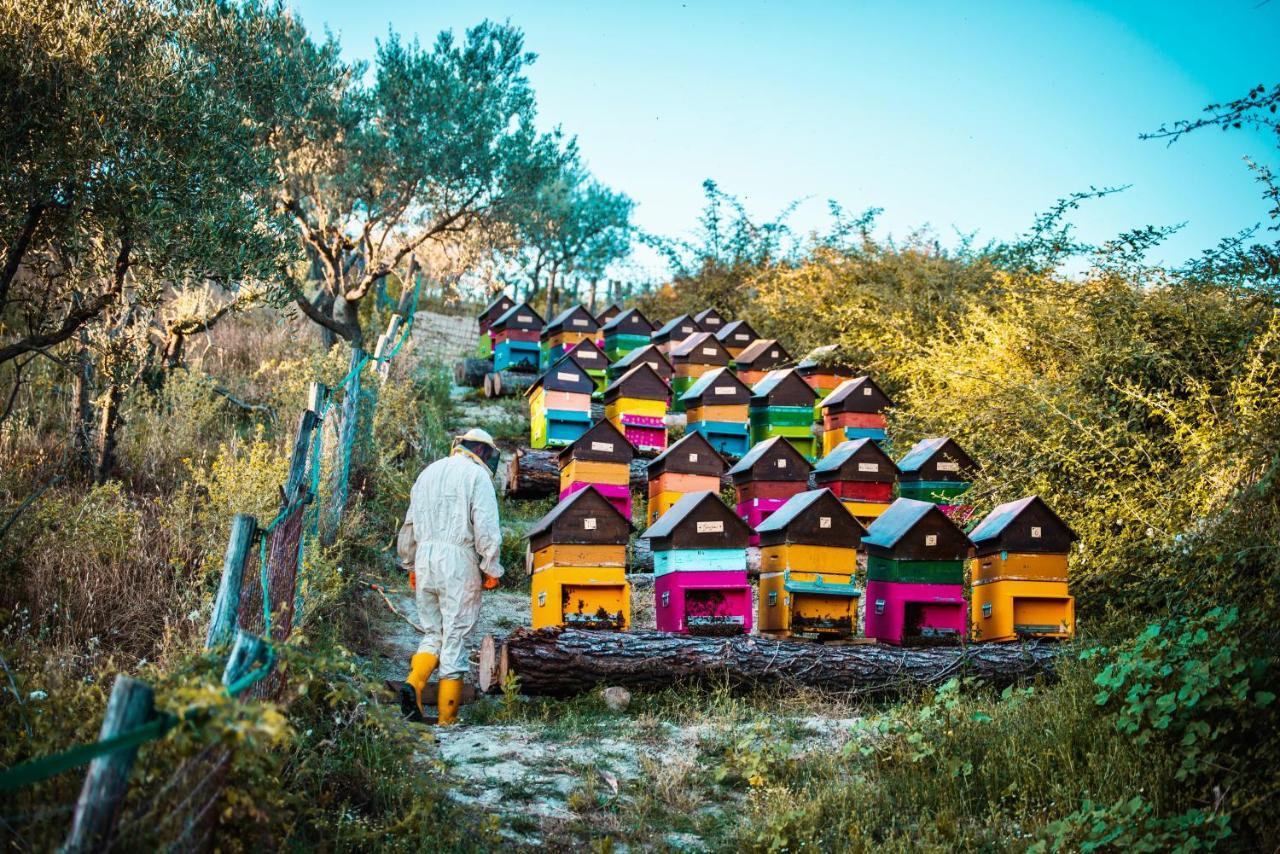 Agriturismo Agrileisuretime 斯波莱托 外观 照片