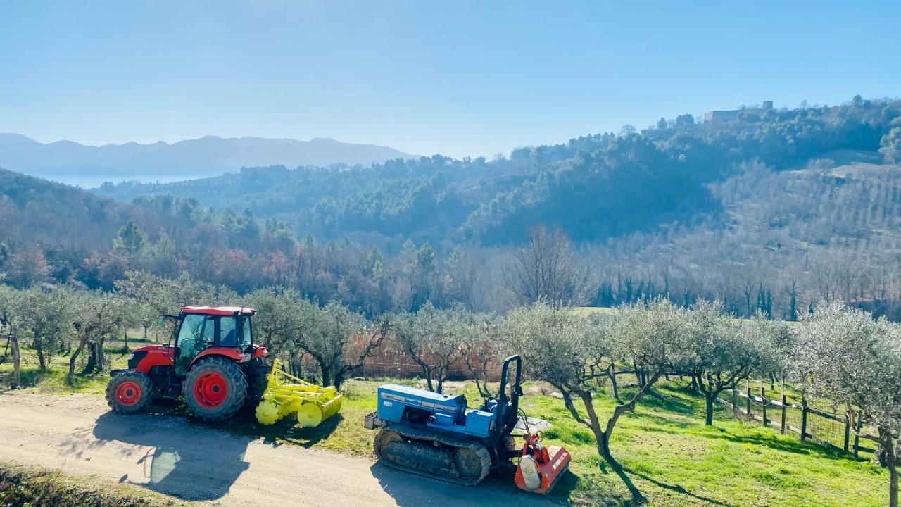 Agriturismo Agrileisuretime 斯波莱托 外观 照片