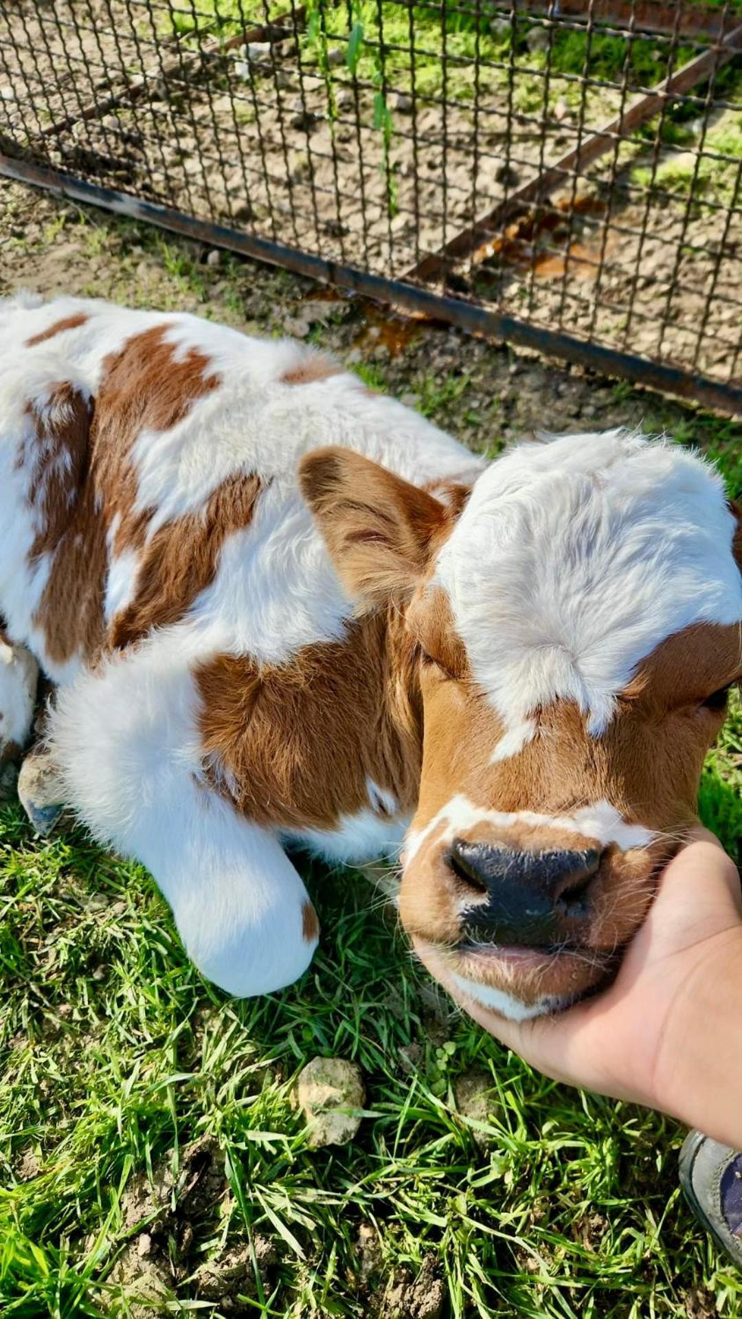 Agriturismo Agrileisuretime 斯波莱托 外观 照片